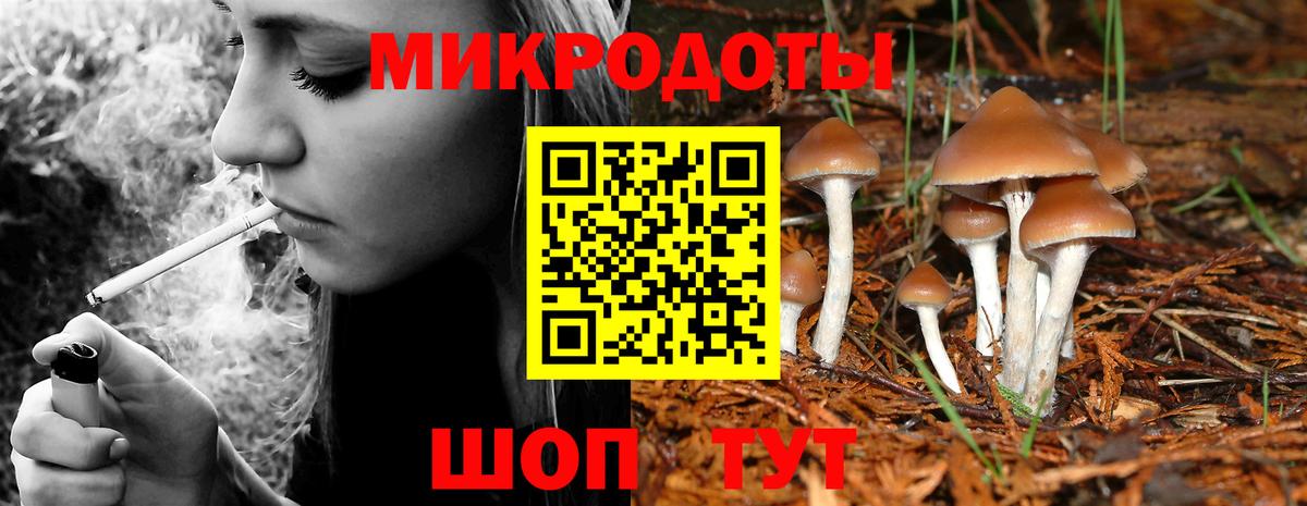 Азнакаево  Псилоцибиновые грибы Psilocybe  Галлюциногенные грибы MAGIC MUSHROOMS  Вход с VPN 